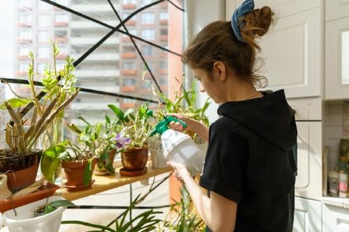 Jabón potásico Jabón potásico