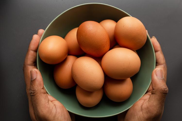 el último acero Contratación Cómo se produce un huevo orgánico? | Bioguia