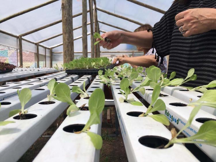 VERDE AGUA CIUDADES SOSTENIBLES