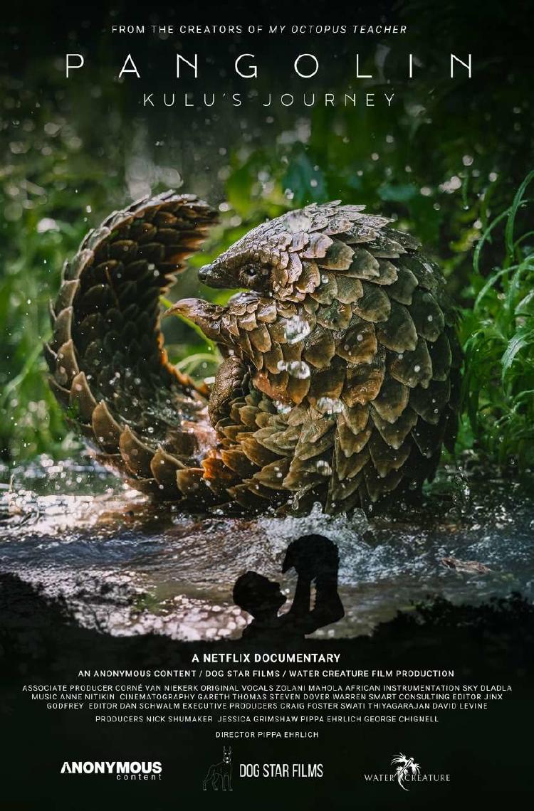 viaje de pangolin Este documental destaca por su enfoque en la conservación de los pangolines, considerados los mamíferos más traficados del mundo. (Foto: ChatGPT)
