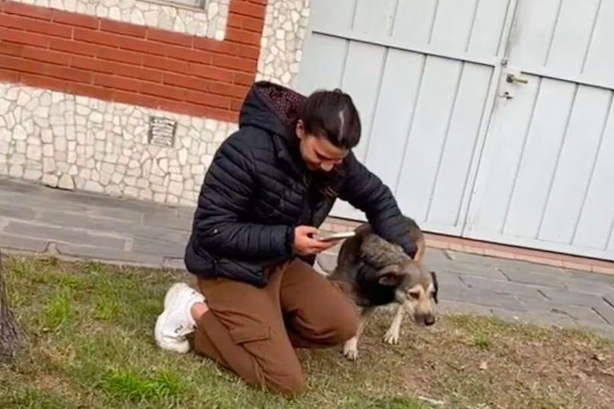 mujer reencuentro perro