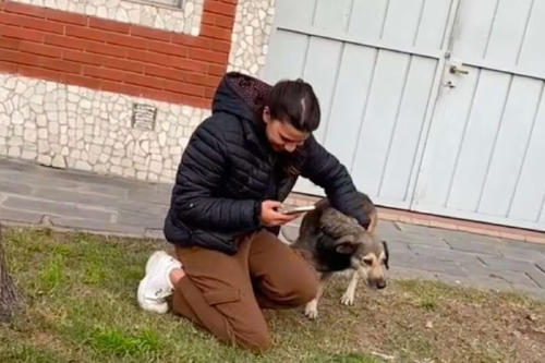 mujer reencuentro perro mujer reencuentro perro