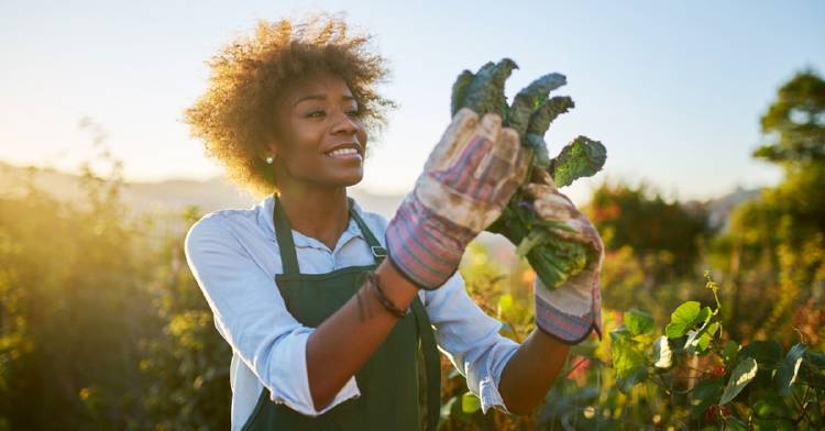que-es-sustentabilidad que-es-sustentabilidad