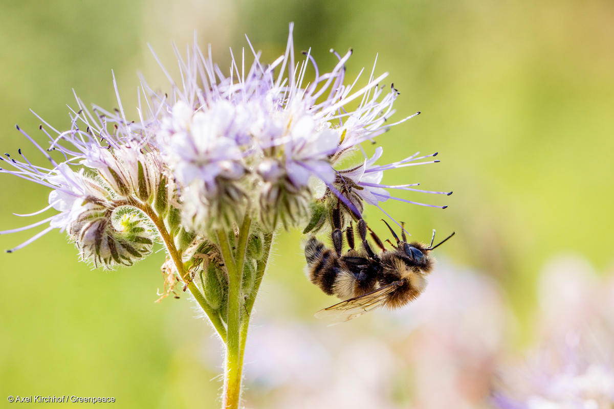 GP04QBW_Medium_res_with_credit_line GP04QBW_Medium_res_with_credit_line