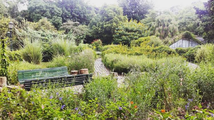 Jardín de mariposas en la Ciudad