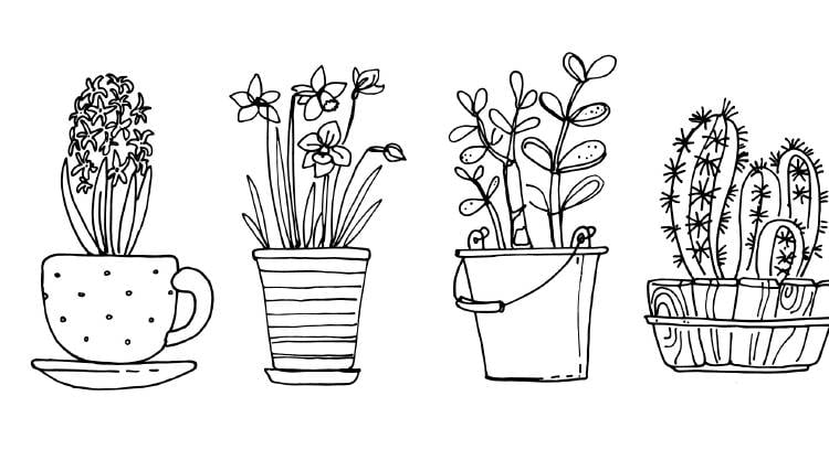 como sera tu semana test como sera tu semana