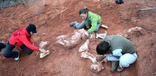 Ingentia prima Ingentia prima