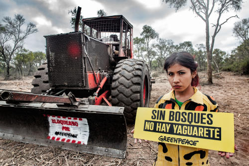 __GPA Bloqueo Topadoras Santiago del Estero (12) __GPA Bloqueo Topadoras Santiago del Estero (12)