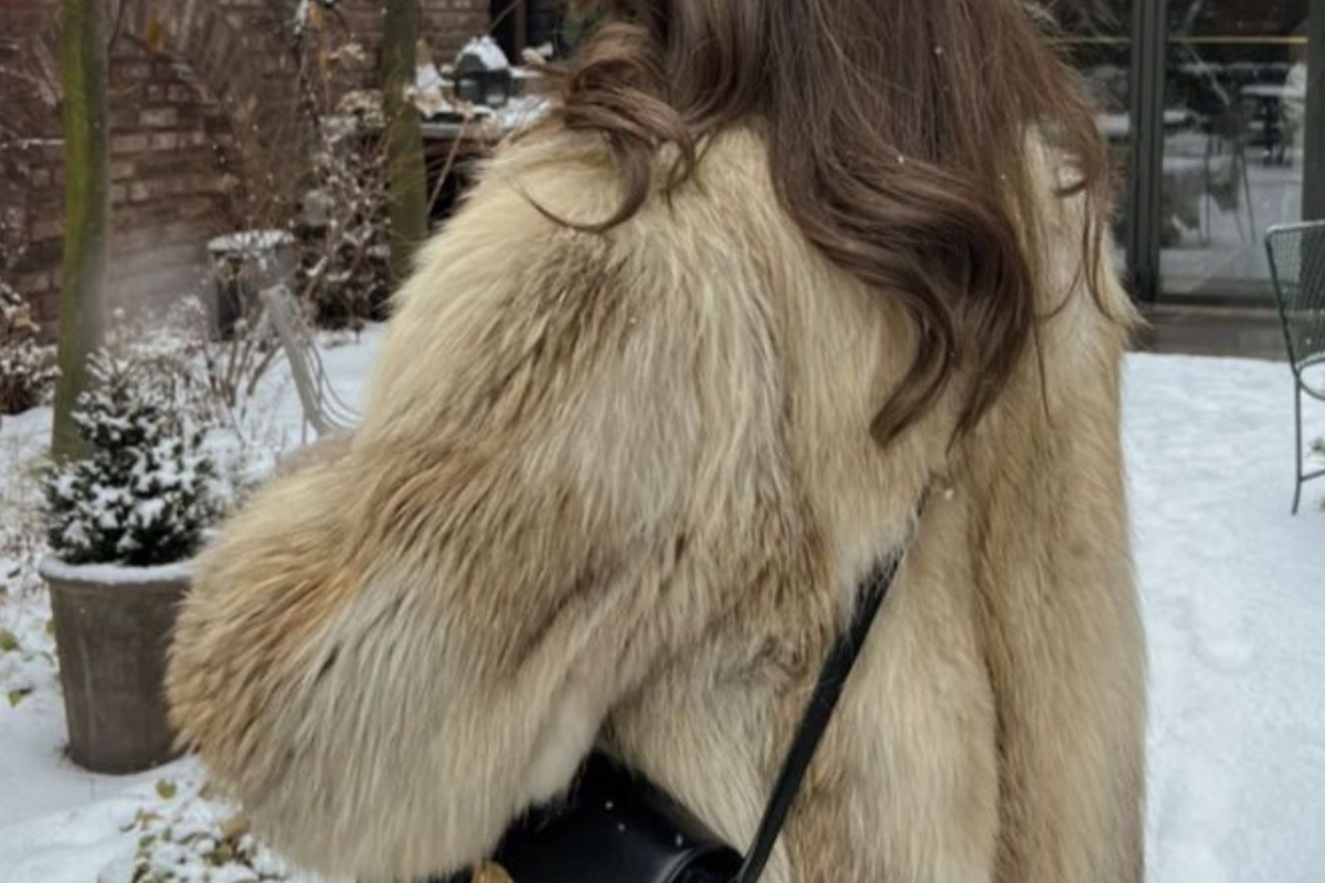 Europa avanza hacia el fin de las granjas de pieles (Imagen: Pinterest)