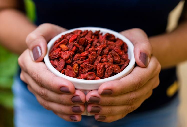 bayas de goji 2