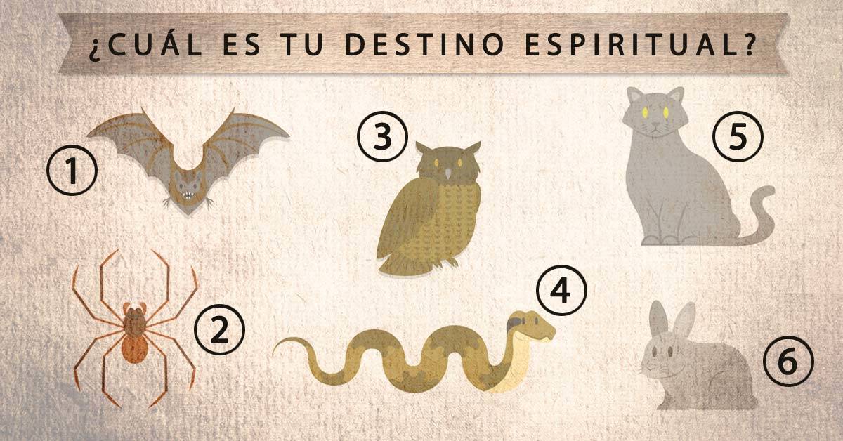 Cual Es Tu Destino Espiritual Elige Un Animal Y Descubre Cual Es Tu Destino Espiritual Elige Un Animal Y Descubre