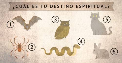 ¿Cuál es tu destino espiritual? Elige un animal y descubre qué tipo de ayuda necesitarás ¿Cuál es tu destino espiritual? Elige un animal y descubre qué tipo de ayuda necesitarás