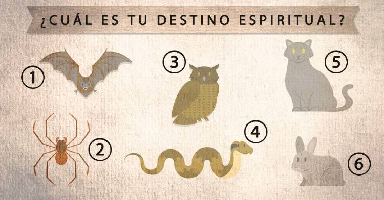 ¿Cuál es tu destino espiritual? Elige un animal y descubre qué tipo de ayuda necesitarás