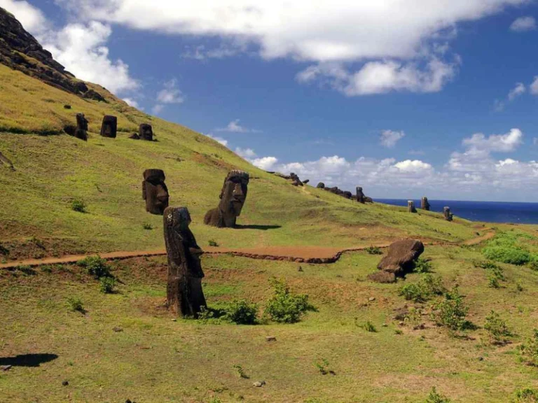 La historia de comolos humanos aseguraron la supervivencia de los arboles en flor de Rapa Nui 768x576