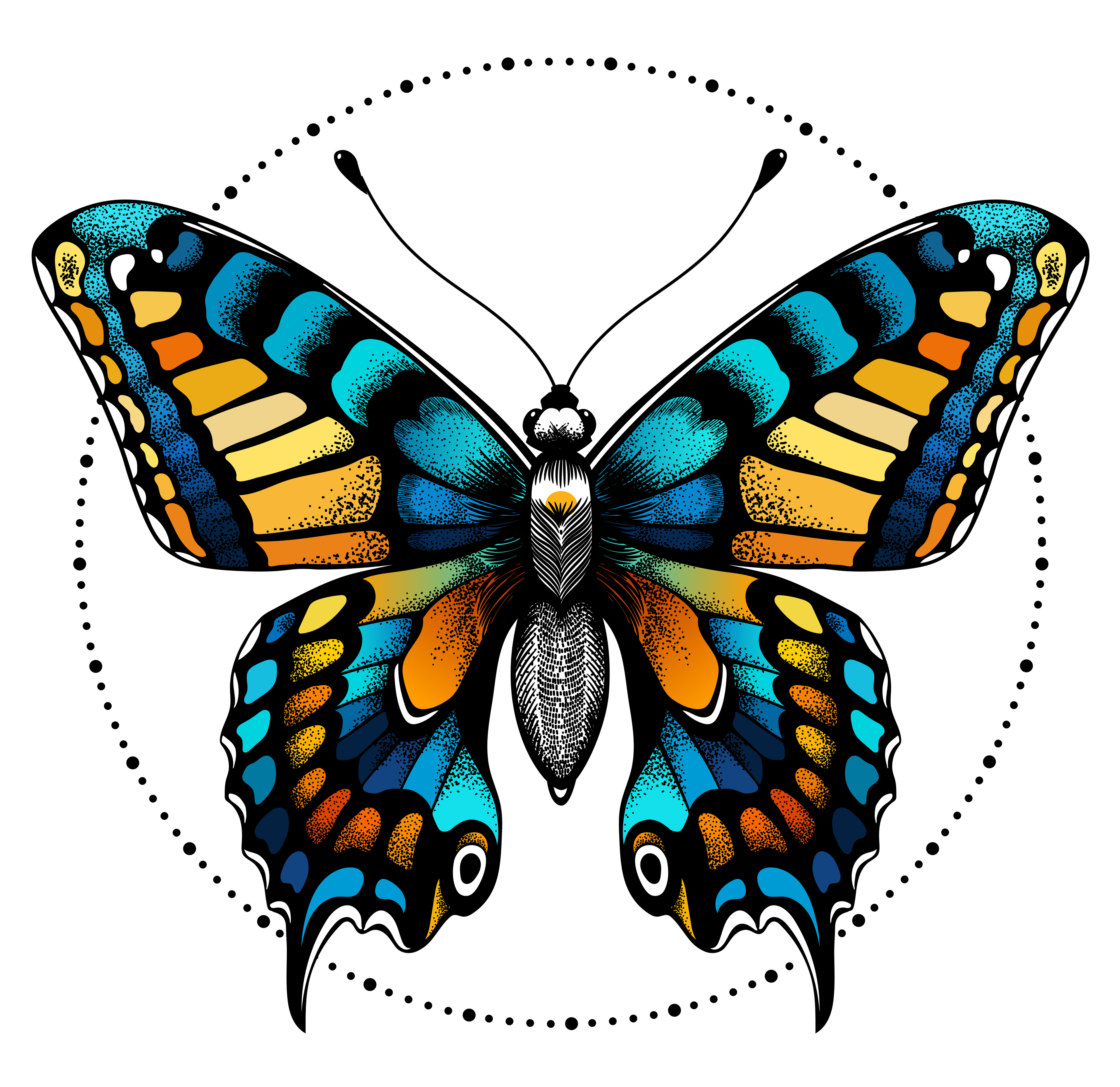 significado de las mariposas significado de las mariposas