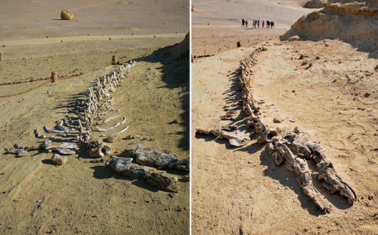 valle de las ballenas2 valle de las ballenas2