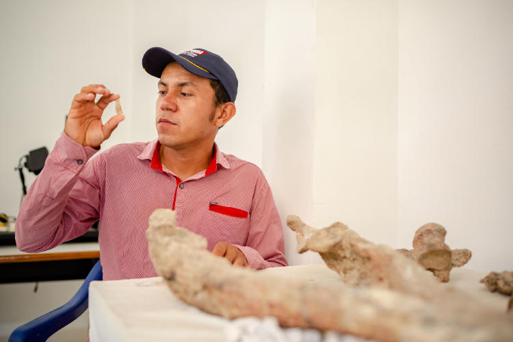 Andrés Vanegas FelipeVillegas Andrés Vanegas FelipeVillegas