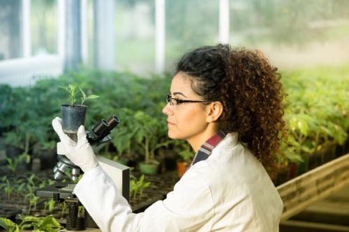 Biologia ciencia Biologia ciencia