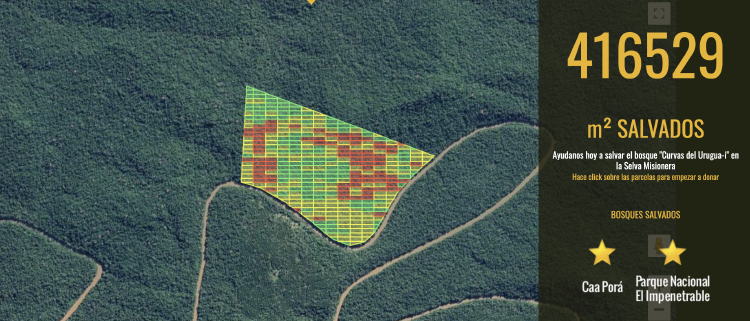 banco de bosques banco de bosques