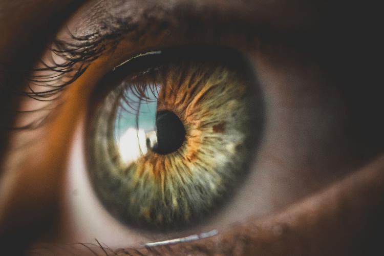 eyes-5248678_1920 eyes-5248678_1920
