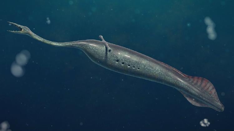 Monstruo de Tully Monstruo de Tully