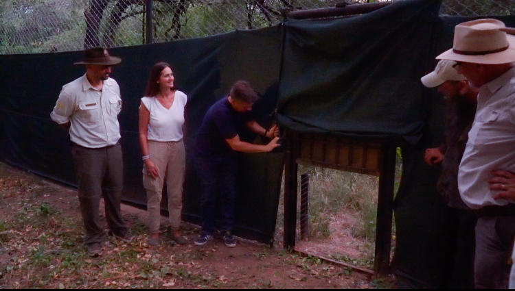 Liberación Keraná en El Impenetrable Sebastián Navajas Fundación Rewilding Argentina 02