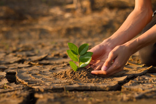 Crisis ambiental: cada vez más personas se preocupan por la pérdida de naturaleza en el mundo