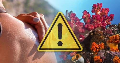 Este producto que usas en el verano sin sentir culpa está matando a los corales