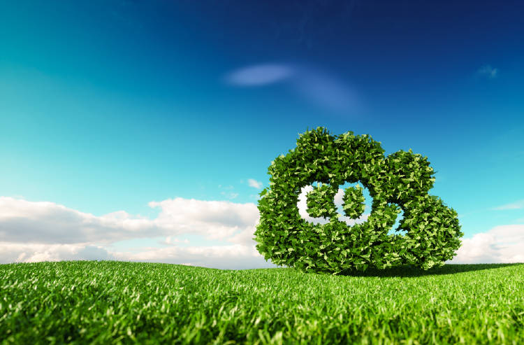 co2 co2