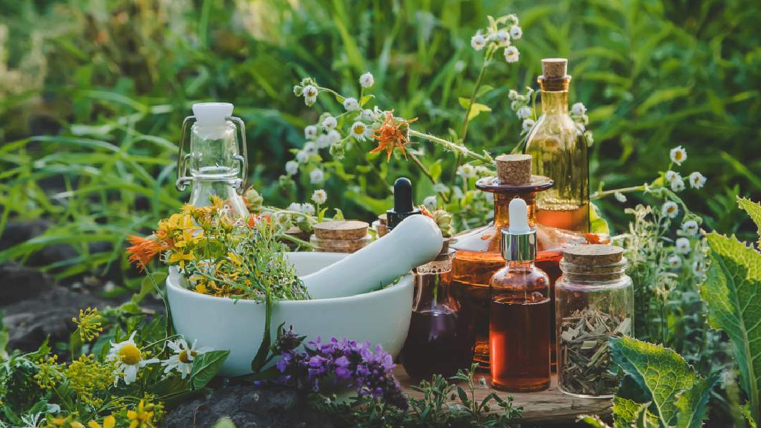 Naturopatia Naturopatia