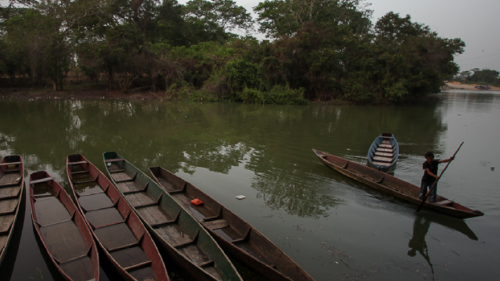 Screenshot 2024 02 08 at 12 49 42 Industria del aceite de palma desplaza a los pequeños agricultores en Guatemala Screenshot 2024 02 08 at 12 49 42 Industria del aceite de palma desplaza a los pequeños agricultores en Guatemala