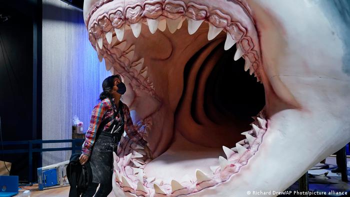 62845111_303 62845111_303