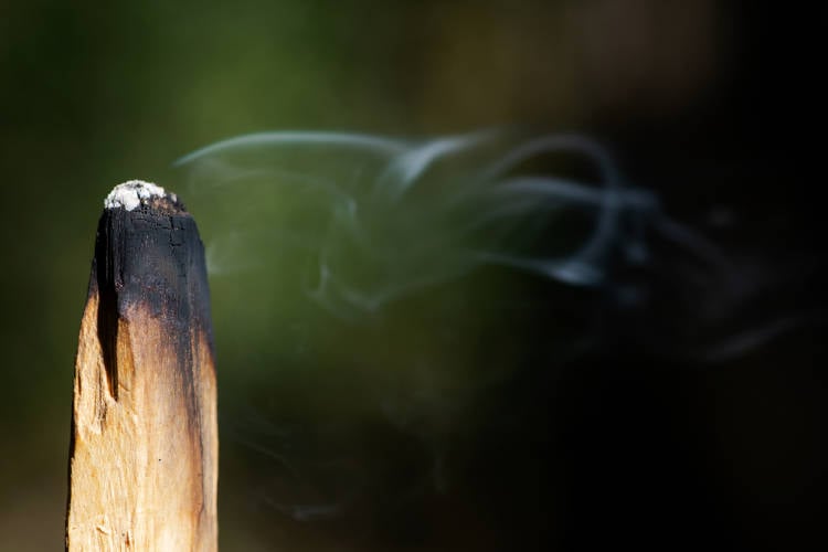 palo santo humo azul significado palo santo humo azul significado