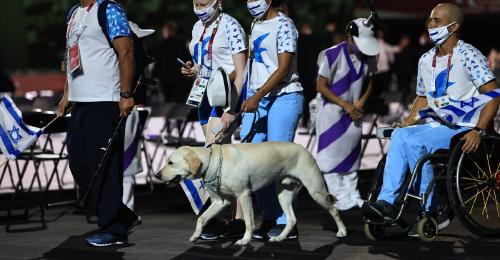 perritos guia juegos paralimpicos perritos guia juegos paralimpicos