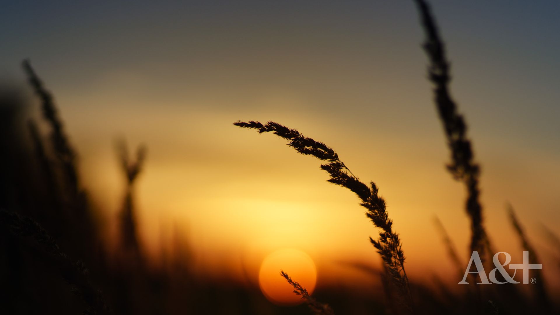Derecho romano y derecho ambiental Historia
