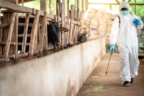 Hasta 850.000 virus existentes en animales podrían saltar a humanos
