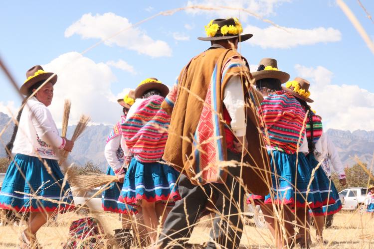 Pueblos indígenas/ Pexels Pueblos indígenas/ Pexels