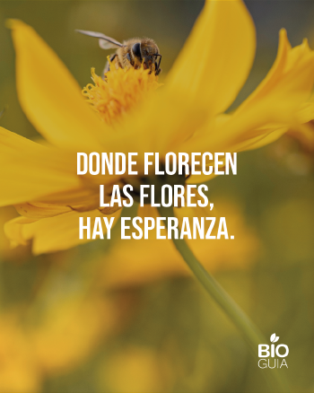 Frases para web (1) Frases para web (1)