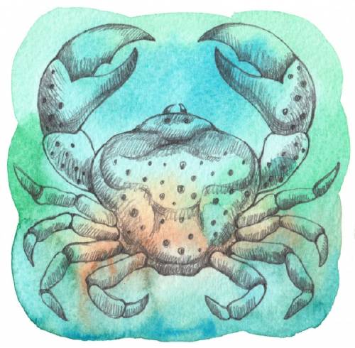 Cáncer zodíaco El signo del zodíaco cáncer - ascendente carta astral