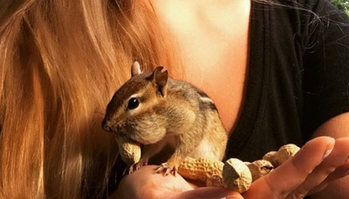 Esta amistad entre una chica y una ardilla es lo más tierno que verás hoy