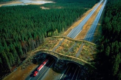 puente canada puente canada