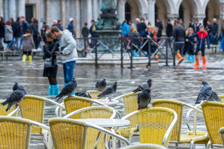 venecia inundacion venecia inundacion