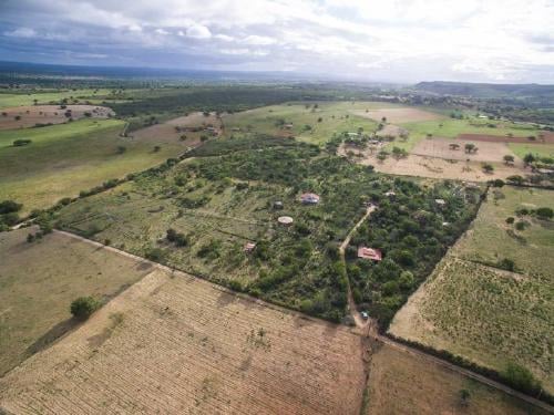 jardin-autosustentable3 jardin-autosustentable3