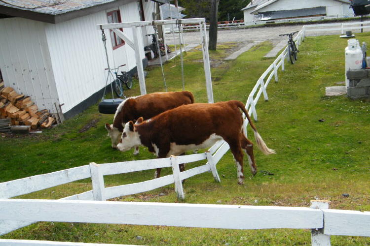 DSCF9597 768x512 DSCF9597 768x512