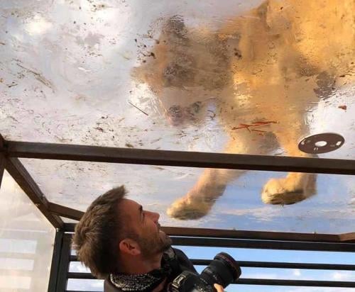 zoologico plexiglas3 zoologico plexiglas3