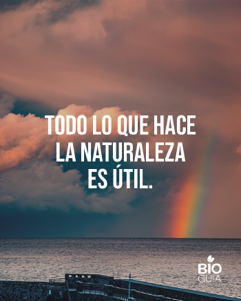 Frases para web (6) Frases para web (6)