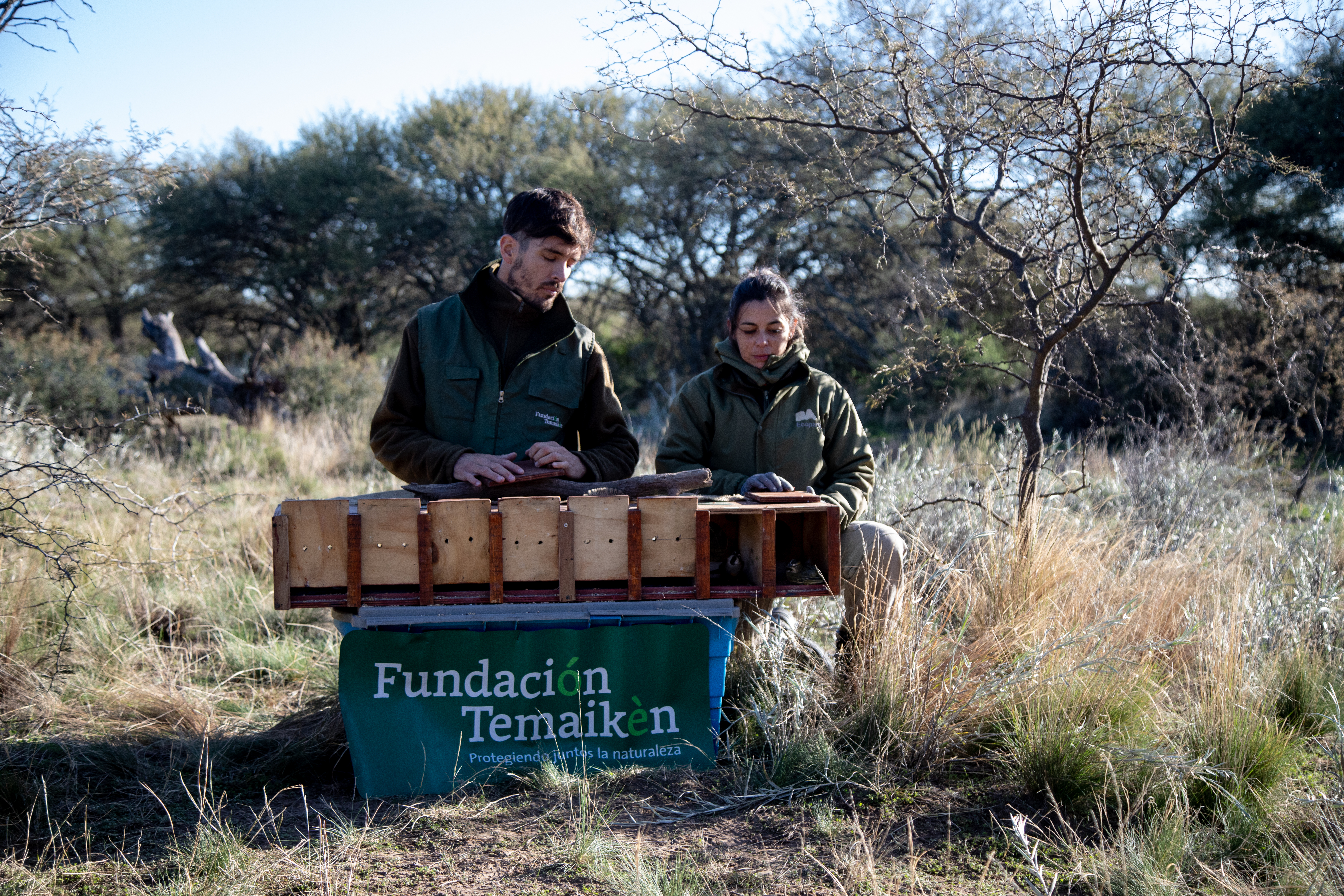 REINSERCIÓN VISTA DE CAJÓN DE TRANSPORTE REINSERCIÓN VISTA DE CAJÓN DE TRANSPORTE