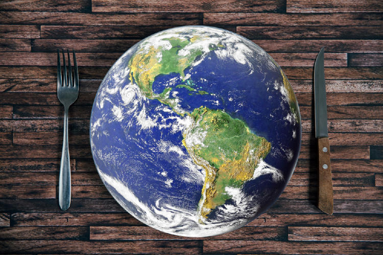 La elección de nuestros alimentos repercuten directamente en el ambiente. dietas ecológicas
