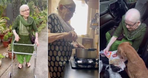 Abuela da de comer a 120 perros India Abuela da de comer a 120 perros India