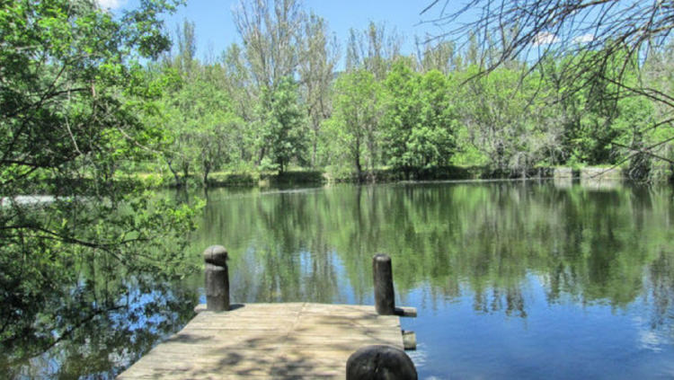 bosque finlandia bosque finlandia